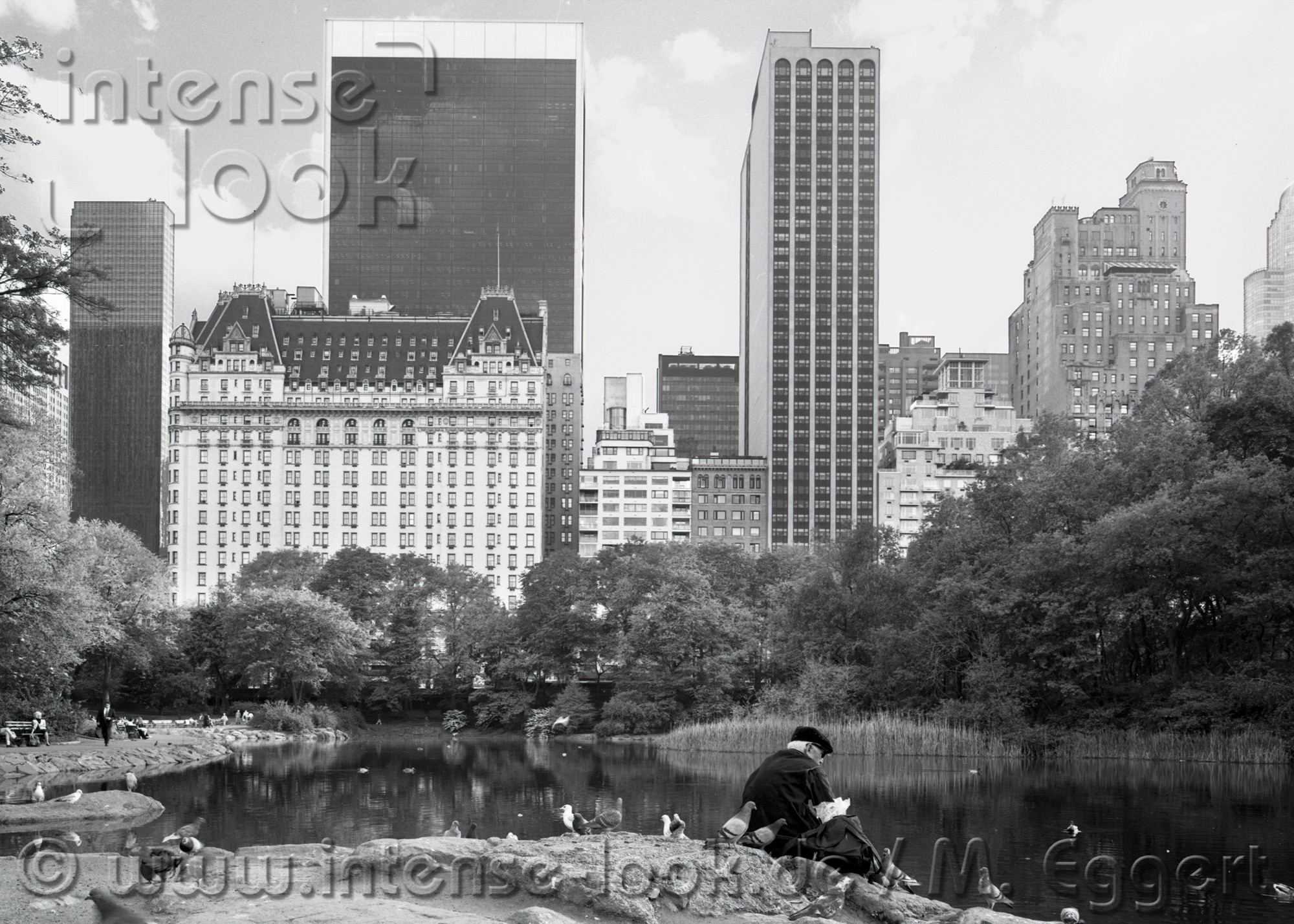 NYC – Central Park