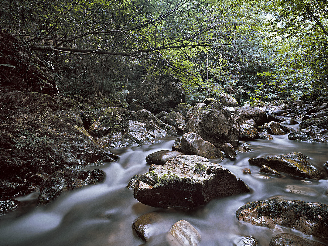 Wasserlauf